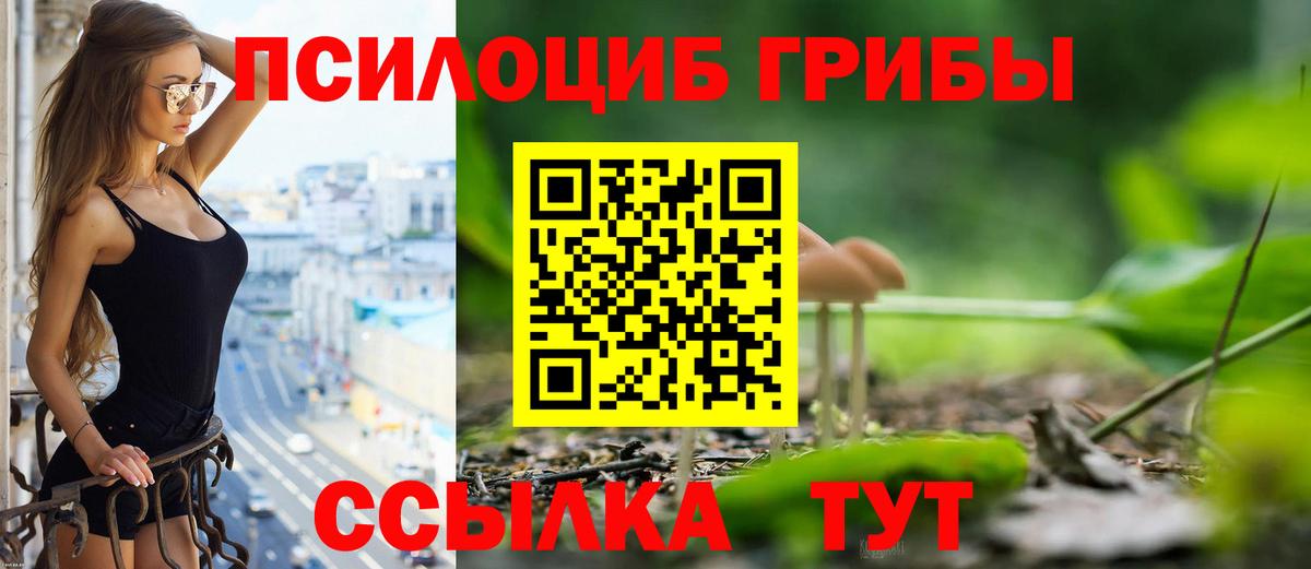 Псилоцибиновые грибы Psilocybine cubensis  Вход с VPN  дарнет шоп  Кулебаки 